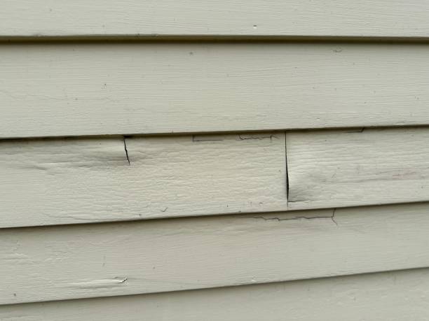 Affordable siding repair and maintenance services in Galva, IL